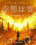 从路人开始拳愿比赛