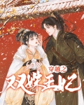 穿越之双姝王妃