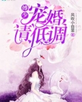 傅少宠婚请低调
