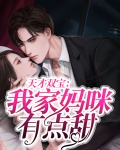天才双宝:我家妈咪有点甜