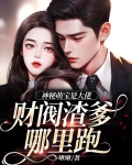 神秘萌宝是大佬,财阀渣爹哪里跑