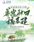 穿成寡妇,在大明养崽种田搞基建