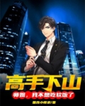 高手下山:师姐,我不想吃软饭了