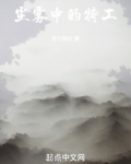 尘雾中的特工