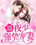 替嫁成婚:夜少强势宠妻