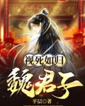 视死如归魏君子