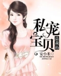 总裁的私宠宝贝