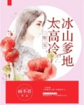 一胎二宝:冰山爹地太高冷