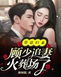 带崽归来,顾少追妻火葬场了