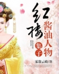 红楼酱油人物集子