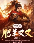 穿越不造反,难道等过年