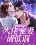 完美隐婚:大佬宠妻请低调