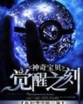 神奇宝贝:觉醒之刻