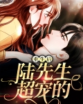 重生后陆先生超宠的