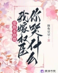 爱你不珍惜,我嫁权臣你哭什么?