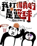 我打得真的是篮球