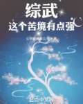 综武:这个苦境有点强