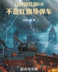 让你改红旗h9,不是红旗导弹车
