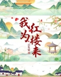 我为红楼来