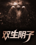 双生阴子