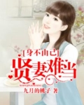 身不由己:贤妻难当