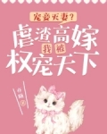 宠妾灭妻?虐渣高嫁我被权宠天下