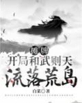 摊牌:开局和武则天流落荒岛