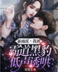 暴雨夜,我被霸道黑豹低声诱哄!