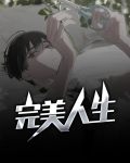 完美人生