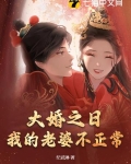 大婚之日,我的老婆不正常