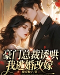 豪门总裁诱哄我逃婚改嫁