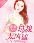 甜妻入怀,总裁太凶猛