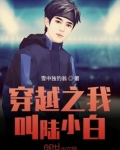 乱世小警察