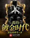 我的镀金时代