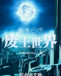 我有一个废土世界