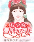 权少的冒牌娇妻