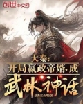 大秦:开局嬴政帝婿,成武林神话