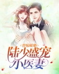 替嫁暖婚:陆少盛宠小医妻