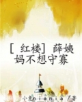 [红楼]薛姨妈不想守寡