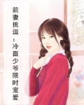 前妻挑逗:冷面少爷限时宠爱