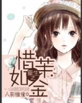 重生之惜茉如金