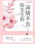 陆先生的深情不负