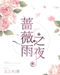 蔷薇雨之夜