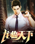 龙临天下