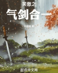 笑傲之气剑合一