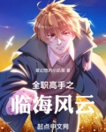 全职高手之临海风云
