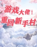 游戏大佬重回新手村