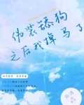 伪装舔狗之后我掉马了