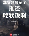 都穿越盘龙了谁还吃软饭啊