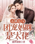 天降七宝,团宠妈咪是大佬
